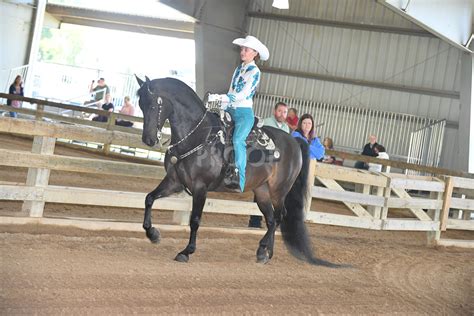 oshkosh charity horse show 2024 schedule|THE MORGAN MASTERPIECE .